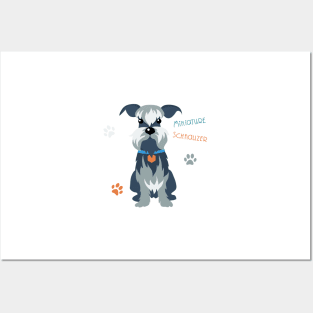 dog Miniature Schnauzer Posters and Art